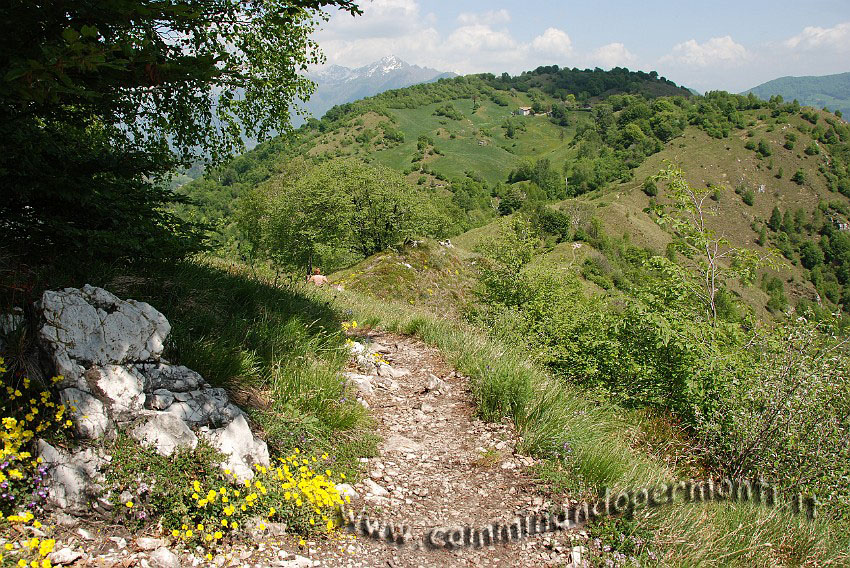 09 04341 Tratto del sentiero verso le stalle Fop.JPG